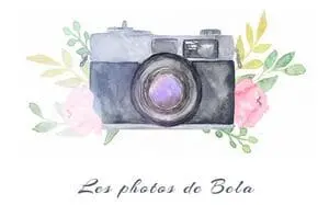 Logo du site Les photos de Bela : des fleurs et un appareils photos et plus bas la signature